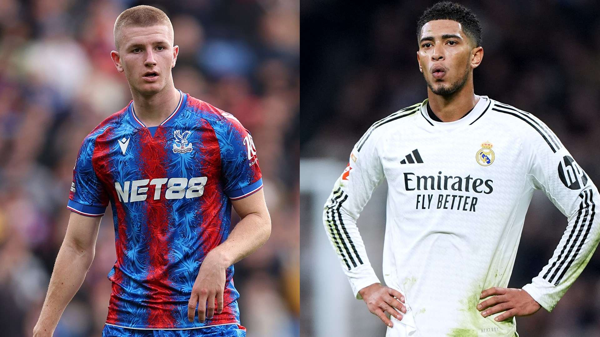 校争光的学 校争光的学